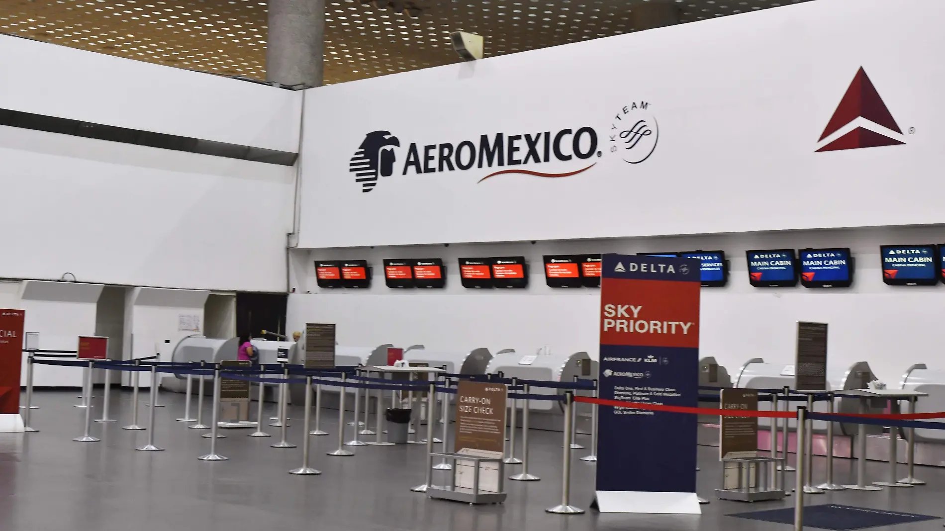 SUCURSAL AEROMEXICO laura lovera  (12)